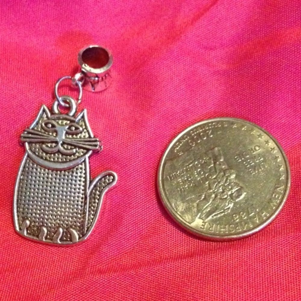 Kitty Charm - Picture 3 of 4